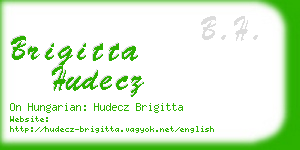 brigitta hudecz business card